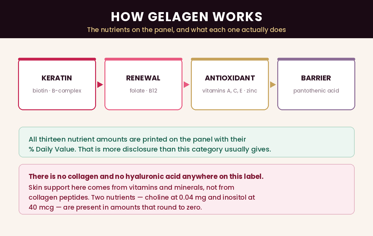 How Gelagen works — keratin, renewal, antioxidant and barrier support from the nutrients on the panel