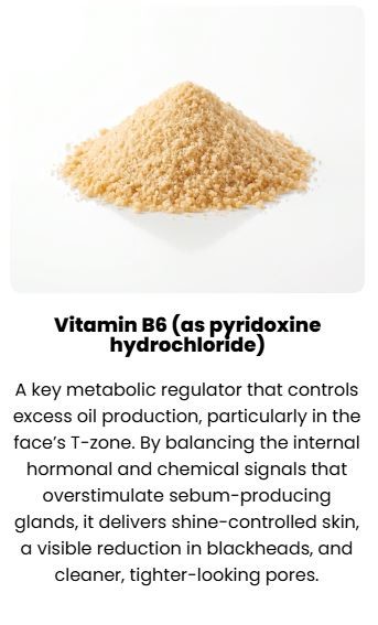 Gelagen vitamin B6 ingredient card